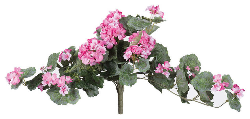 22"  Geranium Hanging Bush-Lt Pink