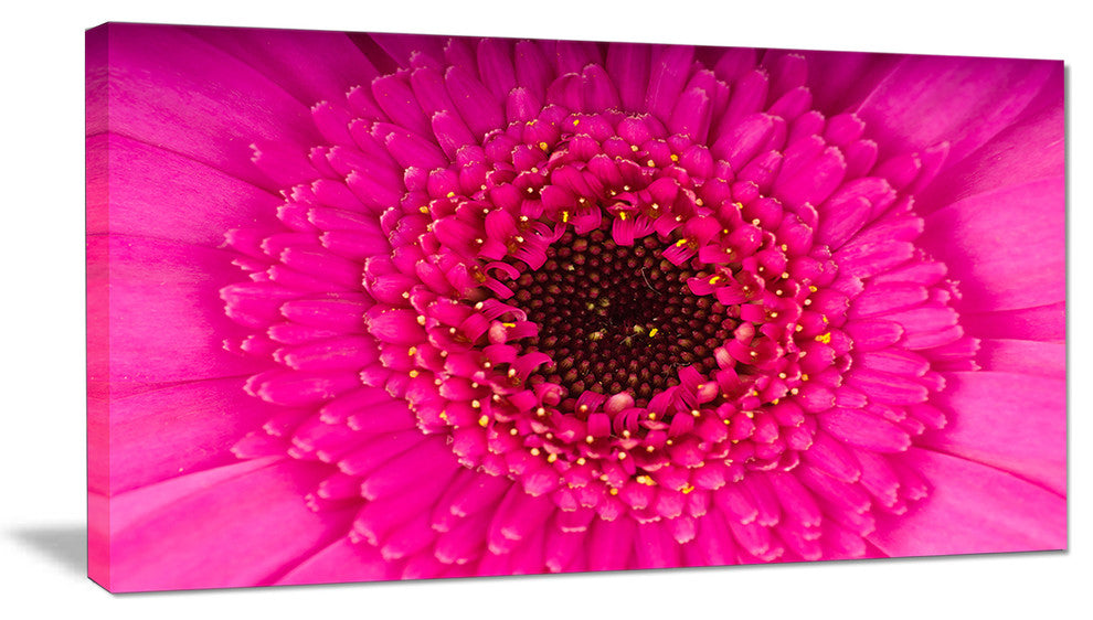Macro Photo of Gerbera Flower, Flowers Canvas Wall Artwork, 32"x16"