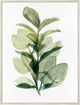 Fresh Market 1, Giclee Reproduction Artwork