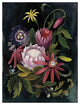 "Flower Show II" Digital Paper Print by Julia Purinton, 14"x18"