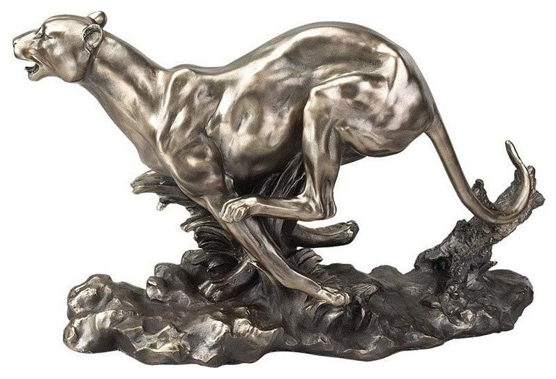 Vanishing Vision Cheetah