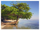 "Roatan Island, Honduras" Digital Paper Print by Tim Fitzharris, 18"x14"