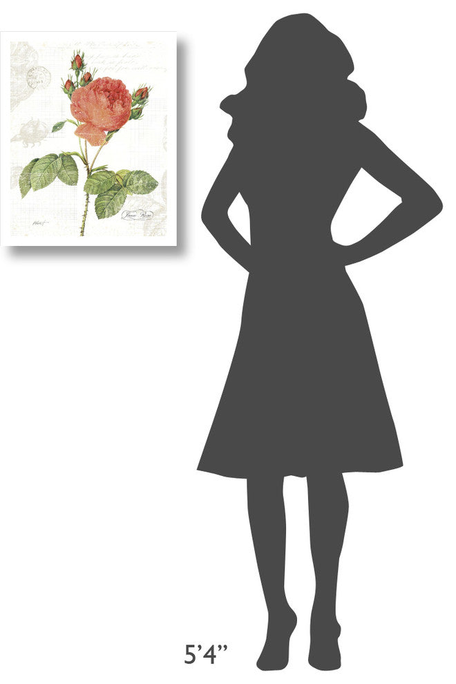 "June Rose on White" Digital Paper Print by Katie Pertiet, 18"x22"