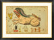 Psalterium Georgii, Fluvius Eridanus, Cetus, Machina Electrica, 1825, 46"x34"