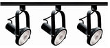 Transitional Light Black Par30 Gimba-Light Ring Track, Black Finish