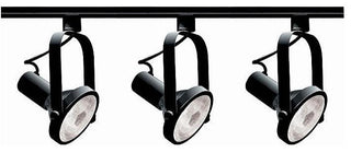 Transitional Light Black Par30 Gimba-Light Ring Track, Black Finish