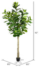 Vickerman Potted Fiddle Tree, 10'