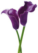 Purple Calla Lilies Mural DM675
