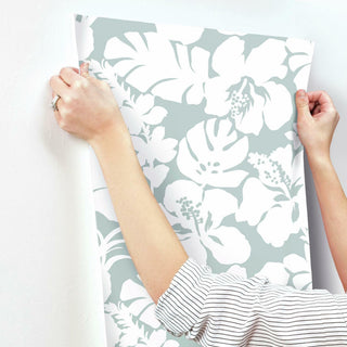 Hibiscus Arboretum Wallpaper