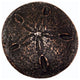 Sand Dollar Cabinet Knob, Oil Rubbed Bronze
