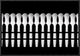"Spoons Abstract: Fence" Framed Canvas Giclee by Jacqueline Hammer, 19x13"