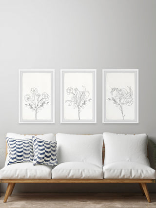 Plant Dreams Triptych, Set of 3, 20x30 Panels