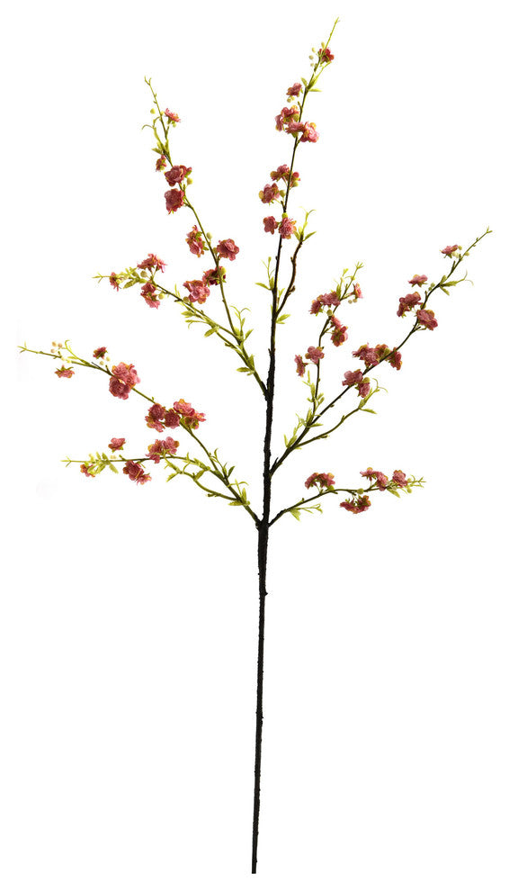 Close-up view of a single stem with blossoms on white background; cropped/zoomed-in view consistent with alternate_white_close.