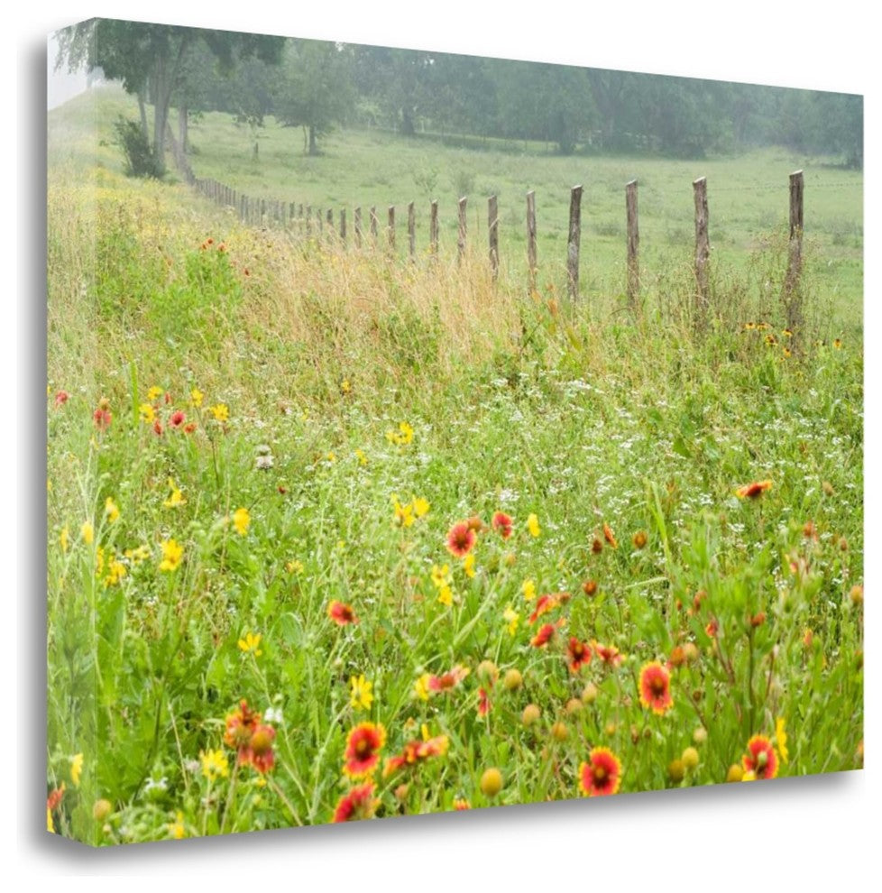 "Flowers And Fence" By Karin Connolly, Giclee Print on Gallery Wrap Canvas