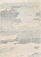 Ahgly Company Indoor Rectangle Mid-Century Modern Area Rugs, 2' x 4'