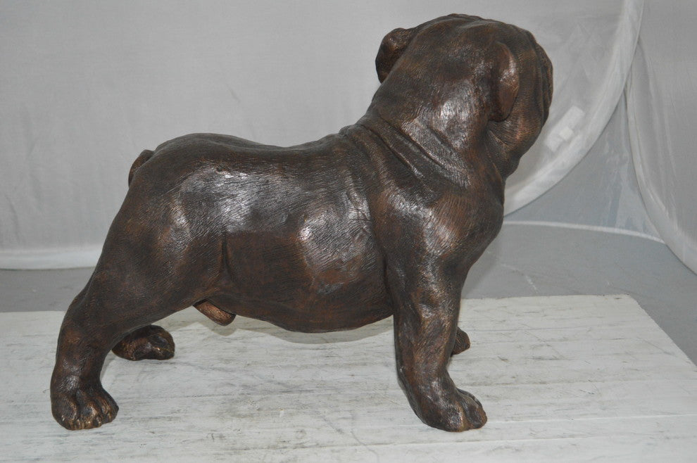 Bulldog Bronze Statue -  Size: 20"L x 9"W x 15"H.