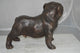 Bulldog Bronze Statue -  Size: 20"L x 9"W x 15"H.