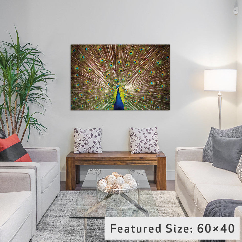 "Proud as Peacocks II" by Laura Marshall, 26x18x1.5
