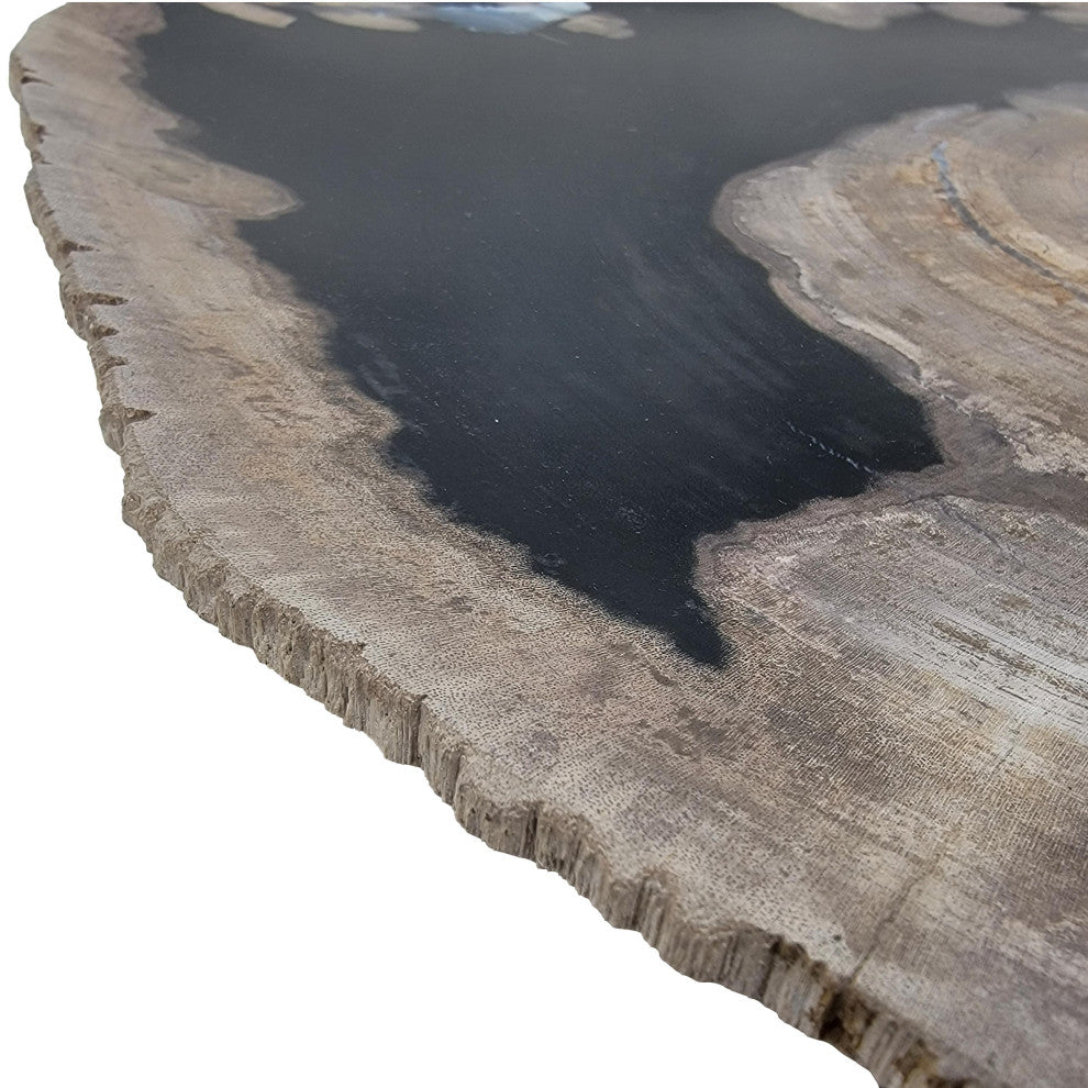 Large 17 in Petrified Wood Stone Tray Centerpiece Plate Fossil Live Edge Natural