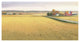 "Heartland Landscape II" Digital Paper Print by James Wiens, 62"x32"