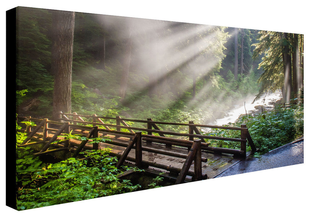 'Forest Sunlight' Canvas Art by Pierre Leclerc