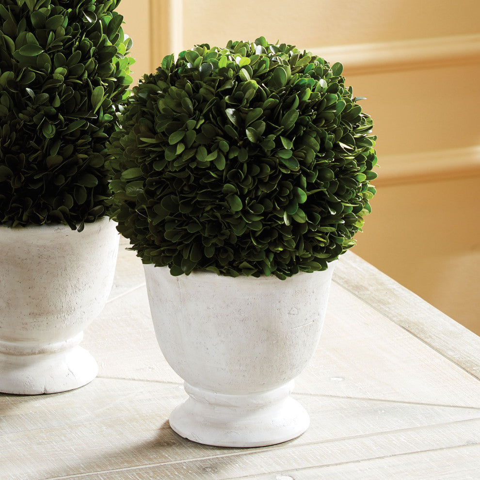 Elegant 12in Ball Sphere Topiary in Pot Preserved Boxwood Greenery English