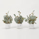 Seeded eucalyptus branches in marbled ceramic cube - set of 3