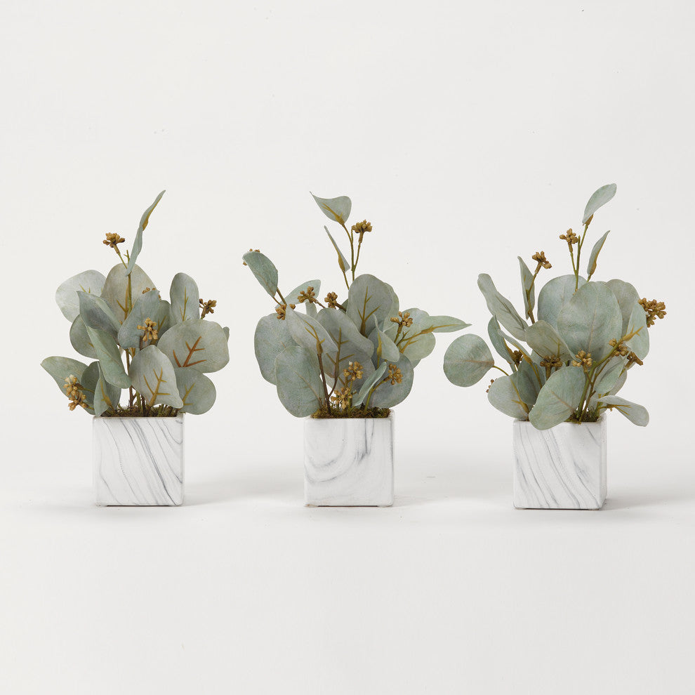 Seeded eucalyptus branches in marbled ceramic cube - set of 3