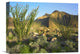 "Ocotillo Palm Canyon, Anza-Borrego Desert State Park, California" Artwork