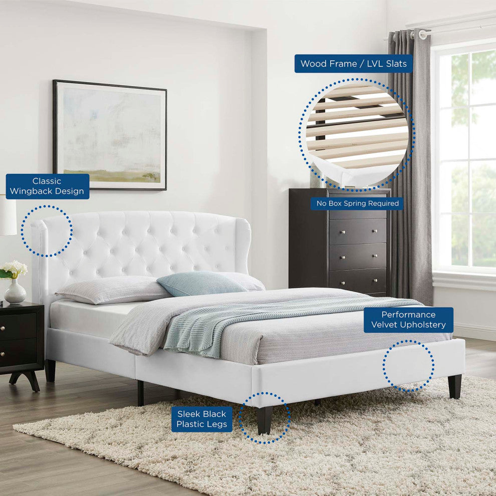Tufted Platform Bed Frame, Queen Size, Velvet, White, Modern Contemporary