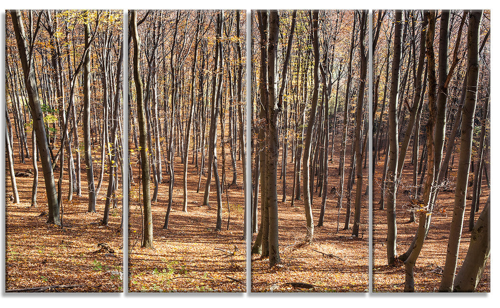 Thick Carpathian Deciduous Forest, Forest Canvas Art Print, 48"x28", 4 Panels