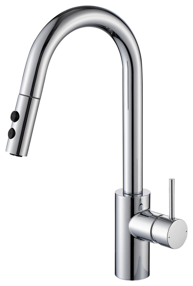 Luxier KTS21-T Single-Handle Pull-Down Sprayer Kitchen Faucet, Chrome