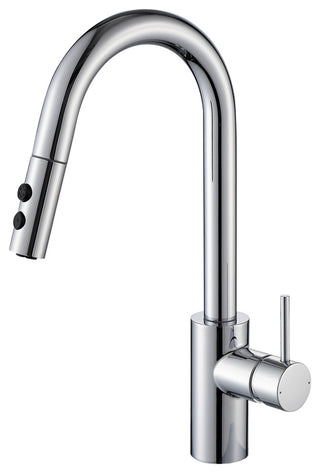 Luxier KTS21-T Single-Handle Pull-Down Sprayer Kitchen Faucet, Chrome