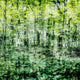 Linear Muse I  Fine Art Giant Canvas Print, 54"x54"