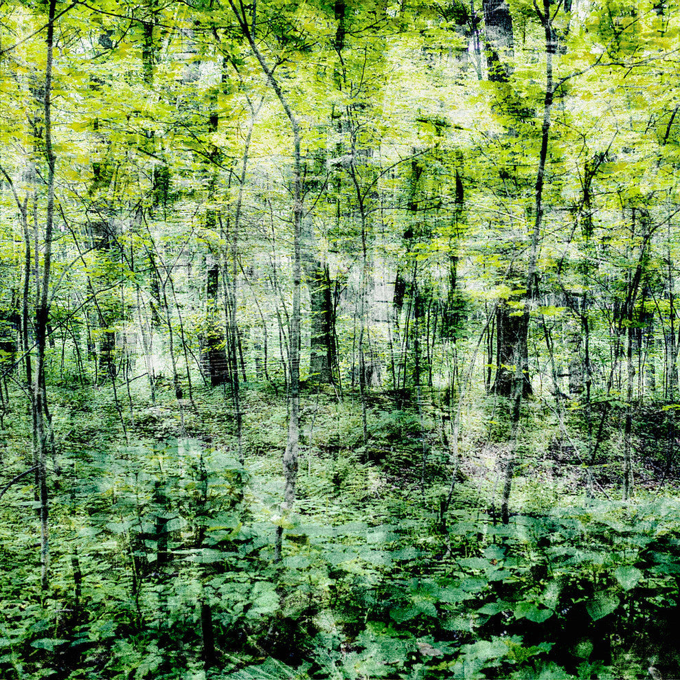 Linear Muse I  Fine Art Giant Canvas Print, 54"x54"