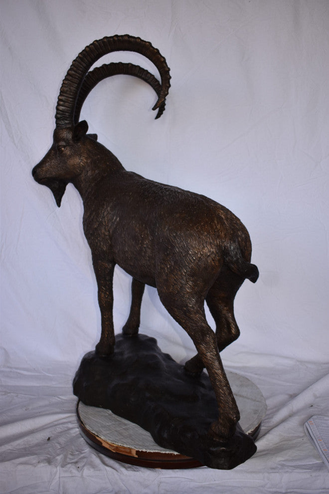 Standing Lifesize Mountain Goat Bronze Statue Size: 22"L x 36"W x 48"H.
