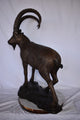 Standing Lifesize Mountain Goat Bronze Statue Size: 22"L x 36"W x 48"H.