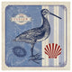 "Sea Bird III" Digital Paper Print by Studio Mousseau, 20"x20"