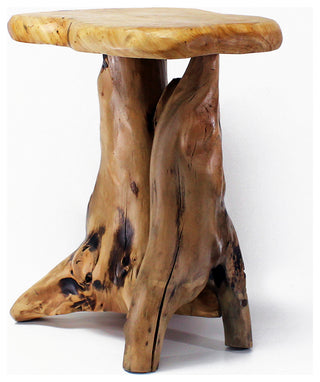 Unique Root End Table