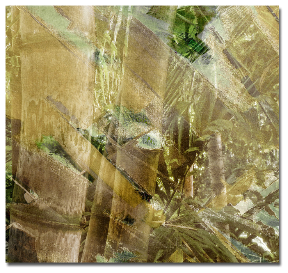 Abstract Bamboo II Canvas Wall Art