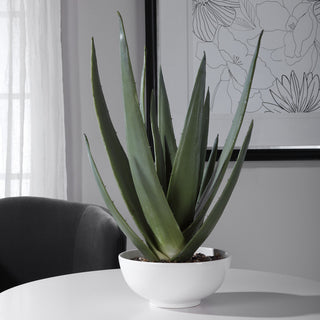 Uttermost Evarado Polyfoam Resin and Stone Aloe Planter in Glossy White