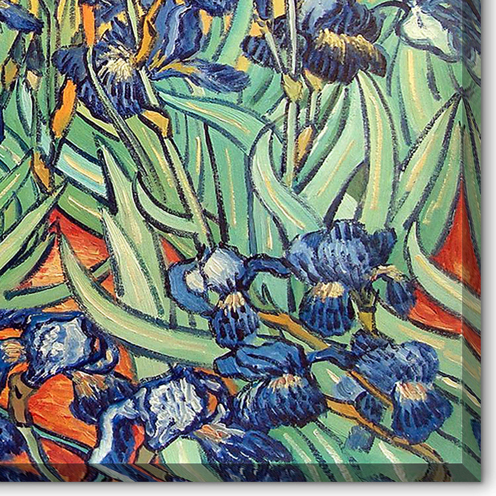 Irises
