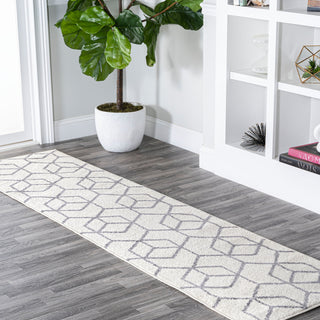 Cole Minimalist Diamond Trellis Green/White 2'x10' Runner Rug