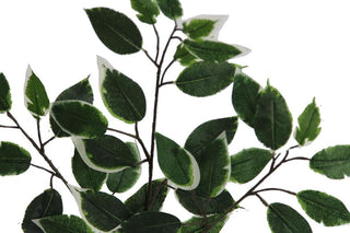 Artificial Deluxe Ficuse Spray 3-Stem With 42 Leaves