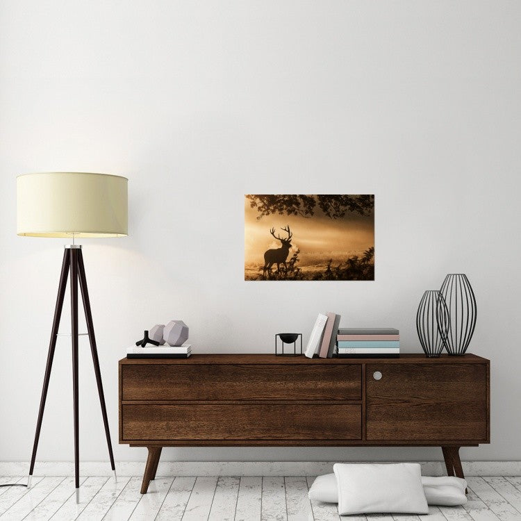 "Untitled" Stretched Canvas Giclee by Radojica Jevric Fotorax, 30"x20"