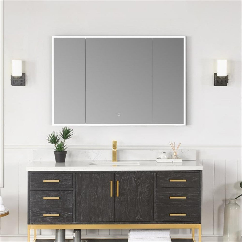 Carsoli 48" Clear Glass Surface-Mount/Recessed LED Mirror Medicine Cabinet
