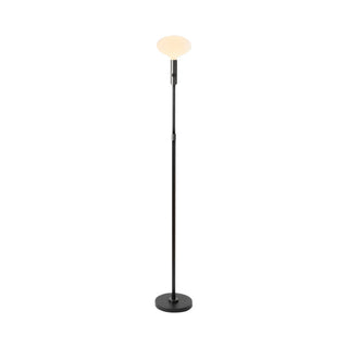 Graphite Floor Lamp With Oval II
