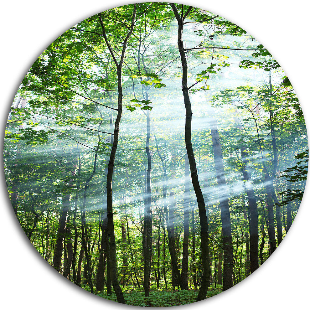 Green Sunny Forest, Landscape Photography Large Disc Metal Artwork, 11"