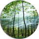 Green Sunny Forest, Landscape Photography Large Disc Metal Artwork, 11"