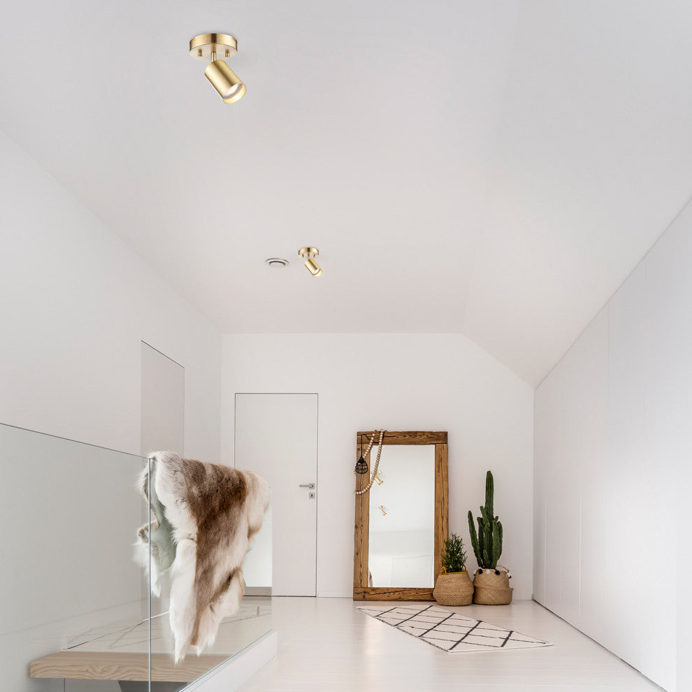 Pratt 1-Light Track Lighting Spotlight, Matte Brass